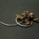 Cortex Fibulae