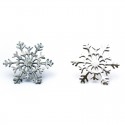 Pin Floquet de Neu 002