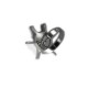 Conch Ring