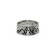 Pedraforca & Matterhorn Ring