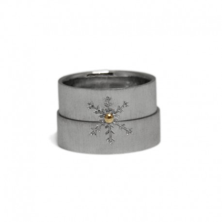 Aliances Floquet de Neu